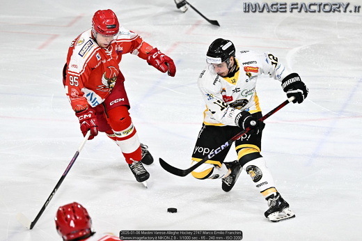 2025-01-06 Mastini Varese-Alleghe Hockey 2747 Marco Emilio Franchini